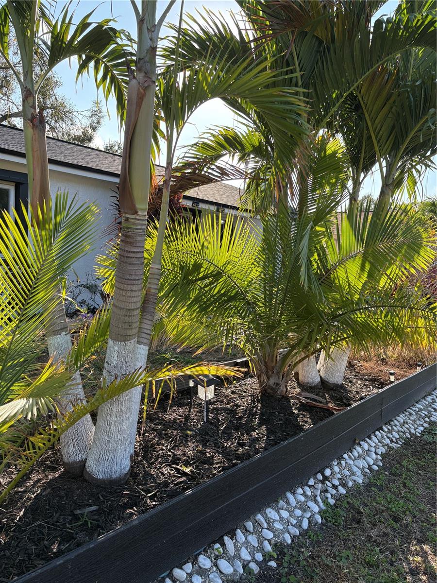 TRADE WINDS ESTATES SUB - Residential