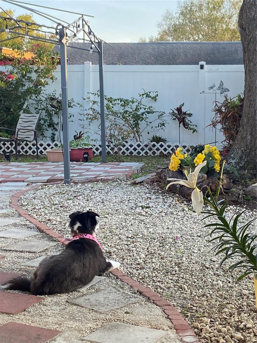 TRADE WINDS ESTATES SUB - Residential