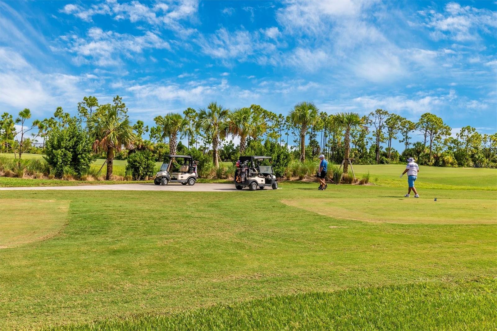 WELLEN PARK GOLF & COUNTRY CLUB - Residential