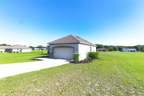 Tiny photo for 725 E Charleston Court, Hernando, FL 34442 (MLS # TB8506867)