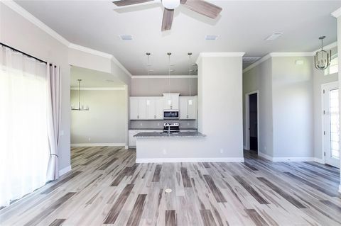 Tiny photo for 725 E Charleston Court, Hernando, FL 34442 (MLS # TB8506867)
