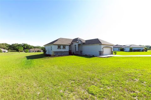 Tiny photo for 725 E Charleston Court, Hernando, FL 34442 (MLS # TB8506867)