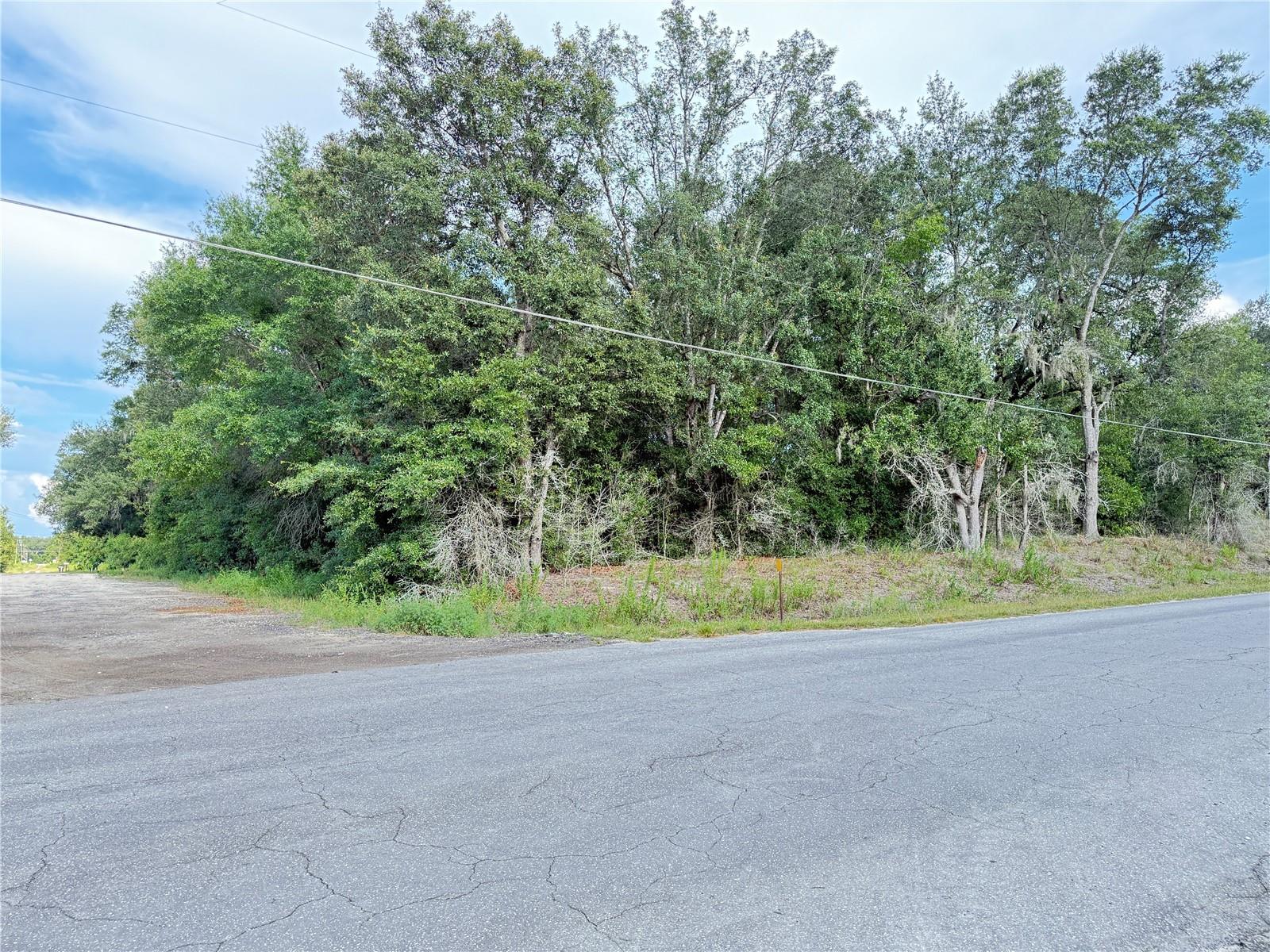 Great corner lot for sale in Rolling Ranch Estates! Conveniently located just minutes away from Walmart, restaurants, medical facilities and more. Build your dream home in a growing rapidly community, no HOA or Flood zone. Electricity pole nearby. Don’t miss your chance to own a piece of Florida land!
