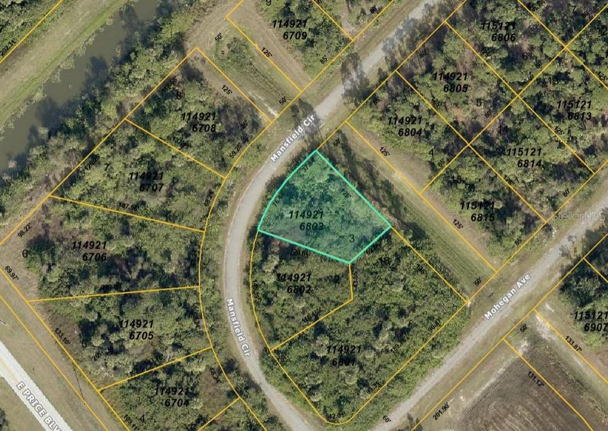 Check out and purchase this QUARTER ACRE LOT in Florida's fastest-growing city! This ELEVATED and DRY parcel offers a solid foundation; perfect for your future construction projects. Ideal for investors and buyers looking to secure an investment opportunity and capitalize on rapid SUBURBAN growth!