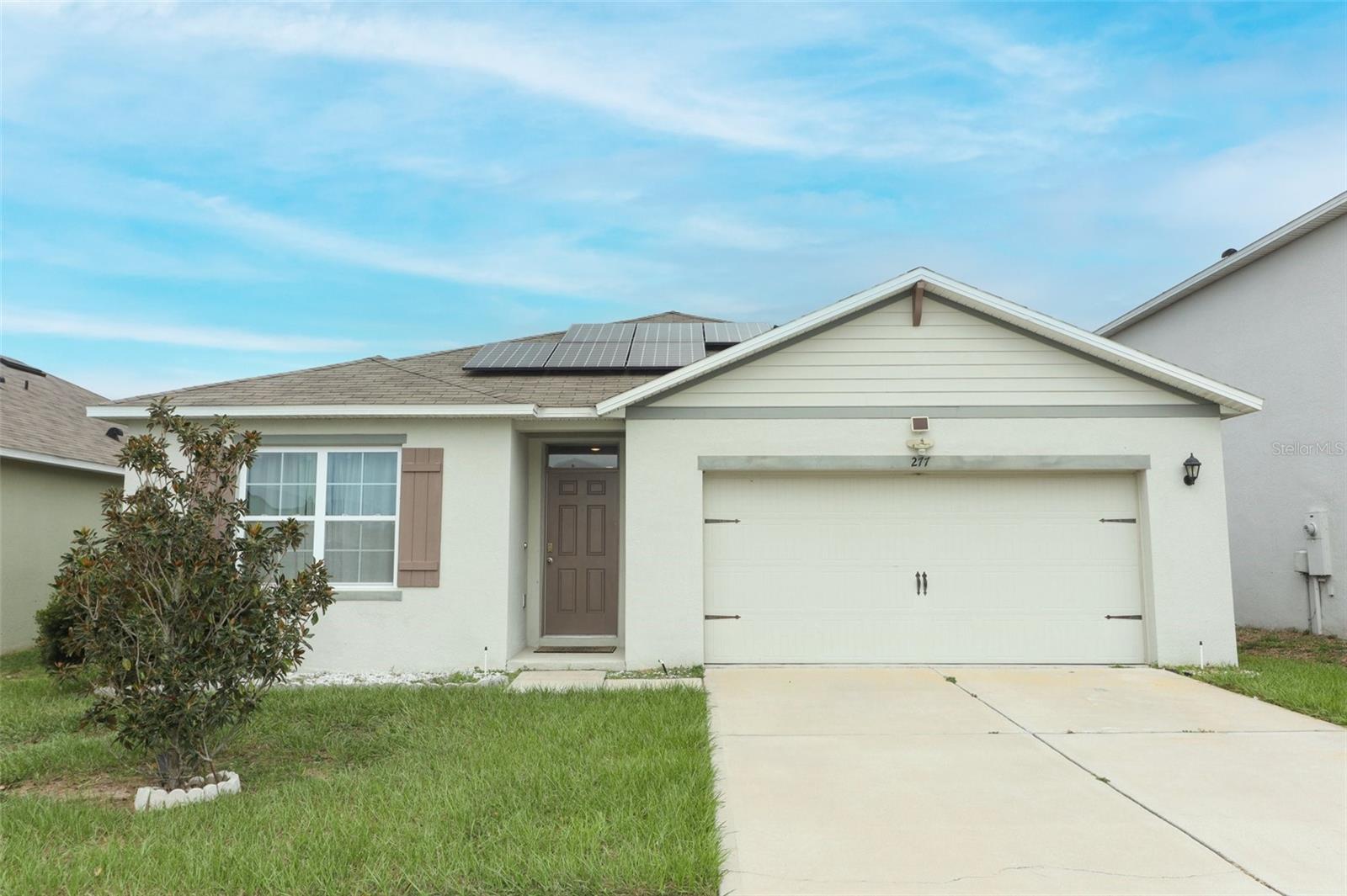 277 LUDISIA LOOP