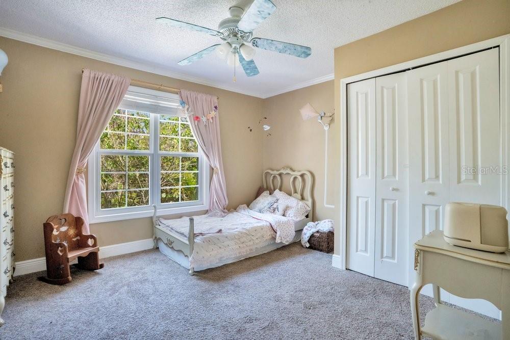 WEST OLDSMAR SEC 1 - Residential