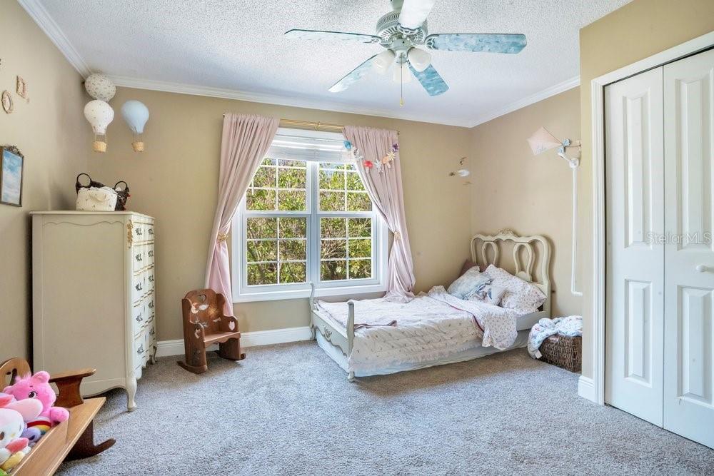 WEST OLDSMAR SEC 1 - Residential