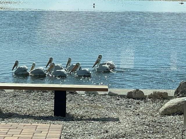 PINELLAS POINT ADD SEC A CANAL SEC - Residential