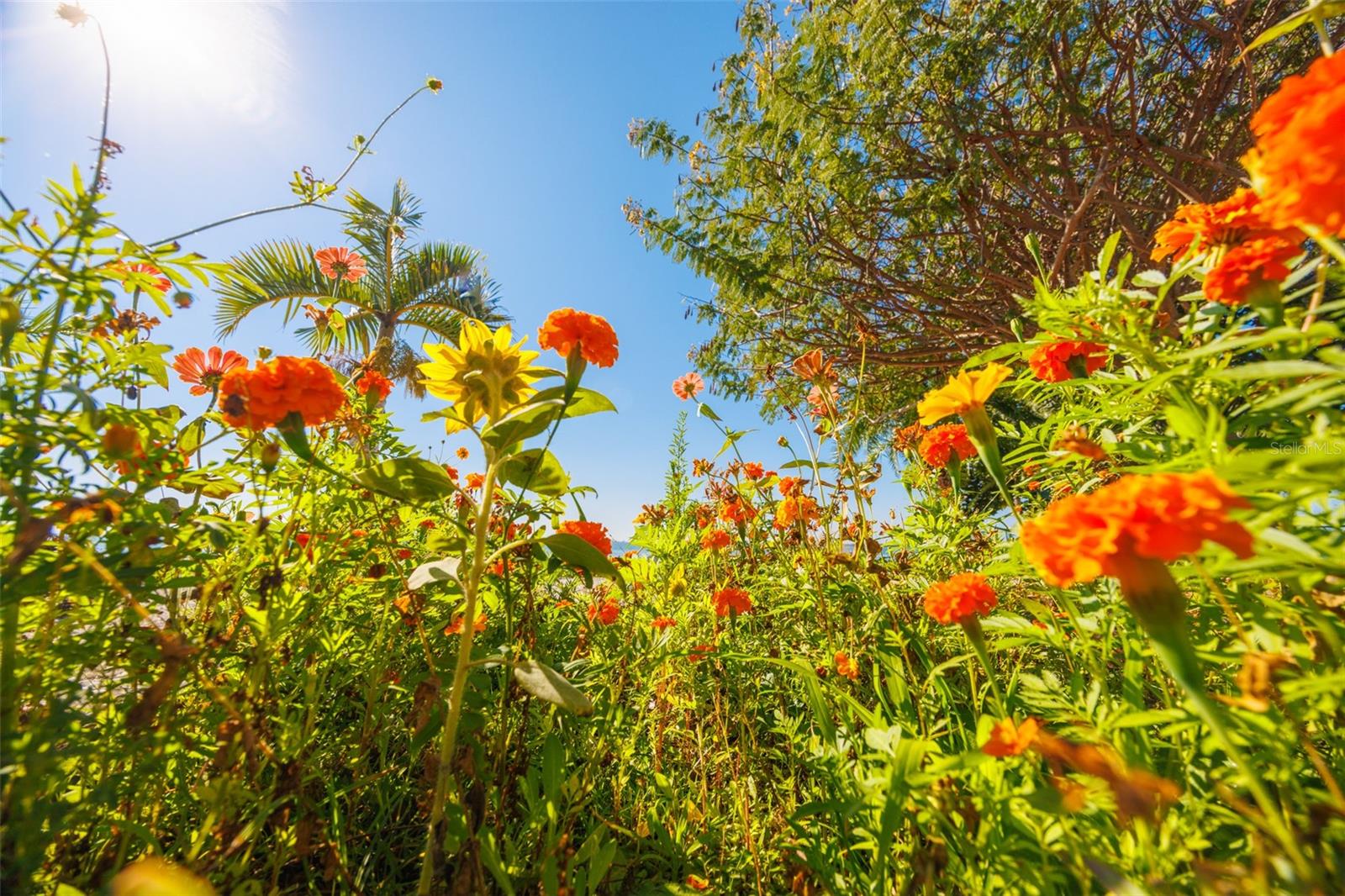 PINELLAS POINT ADD SEC A CANAL SEC - Residential