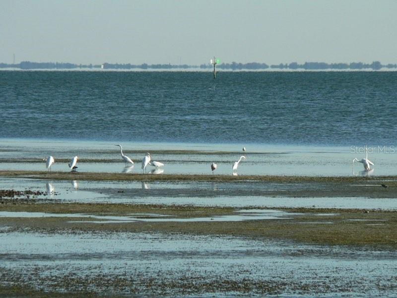 PINELLAS POINT ADD SEC A CANAL SEC - Residential