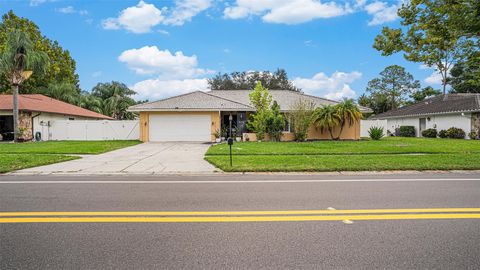 A home in TAMPA