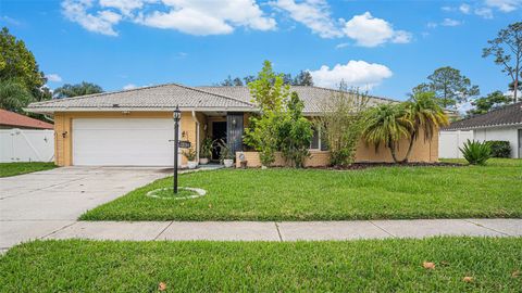 A home in TAMPA