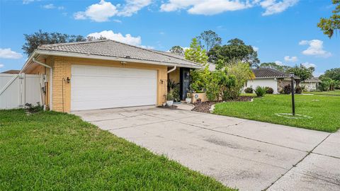 A home in TAMPA