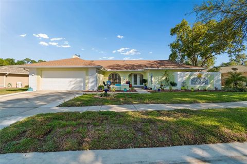 Photo of 8930 Brooker Drive, New Port Richey, FL 34655 (MLS # TB8498959)