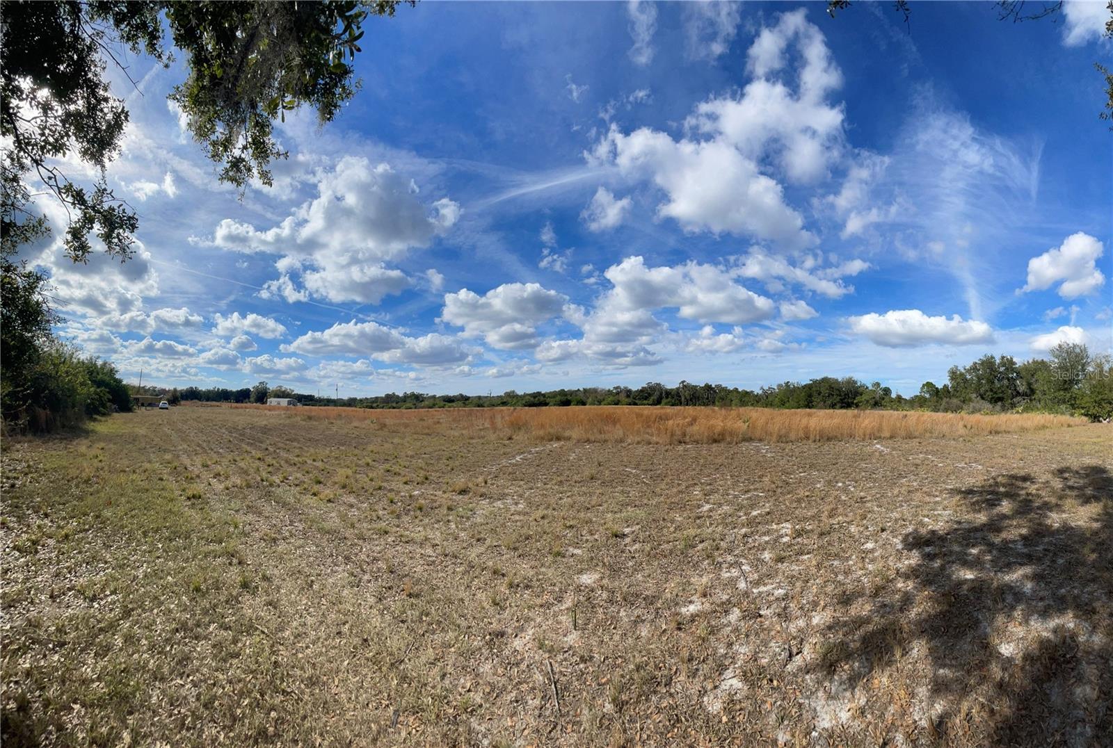 WILLOW SHORES - Land