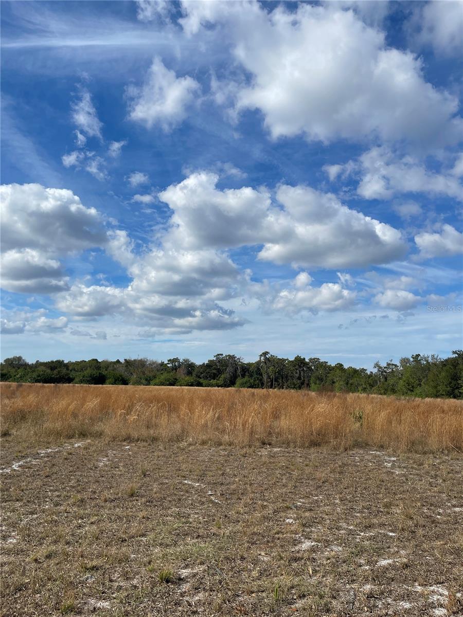 WILLOW SHORES - Land