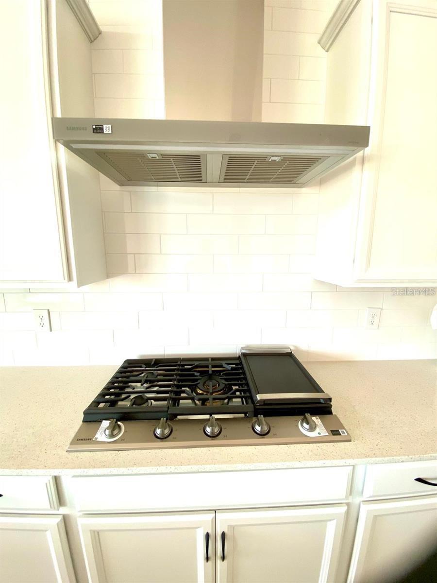 16071 BARKLY RIDGE COURT