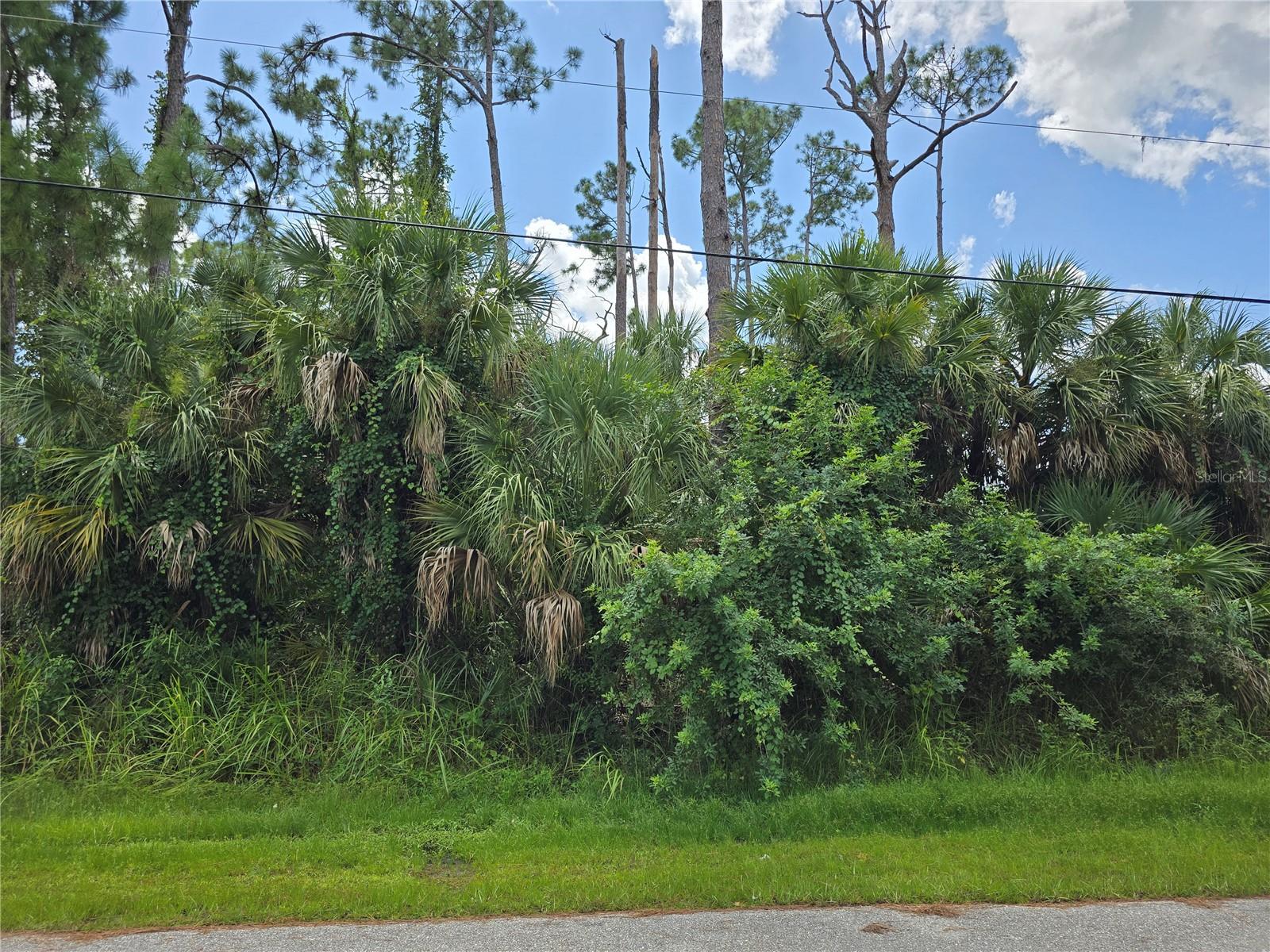 PORT CHARLOTTE SUB 17 - Land