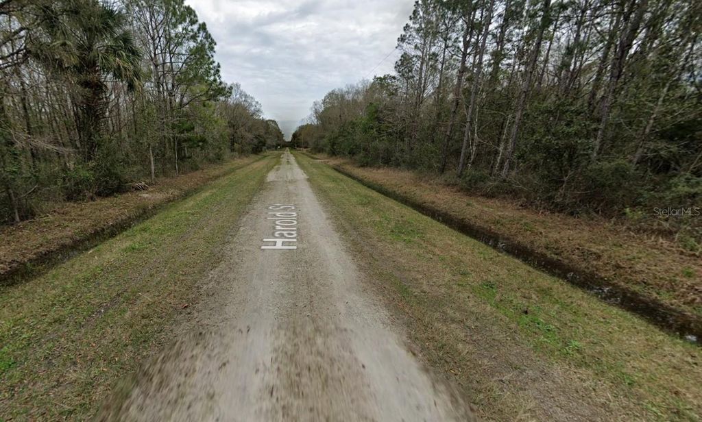 Photo of 4530 Harold Street, Hastings, FL 32145 (MLS # FC319001)