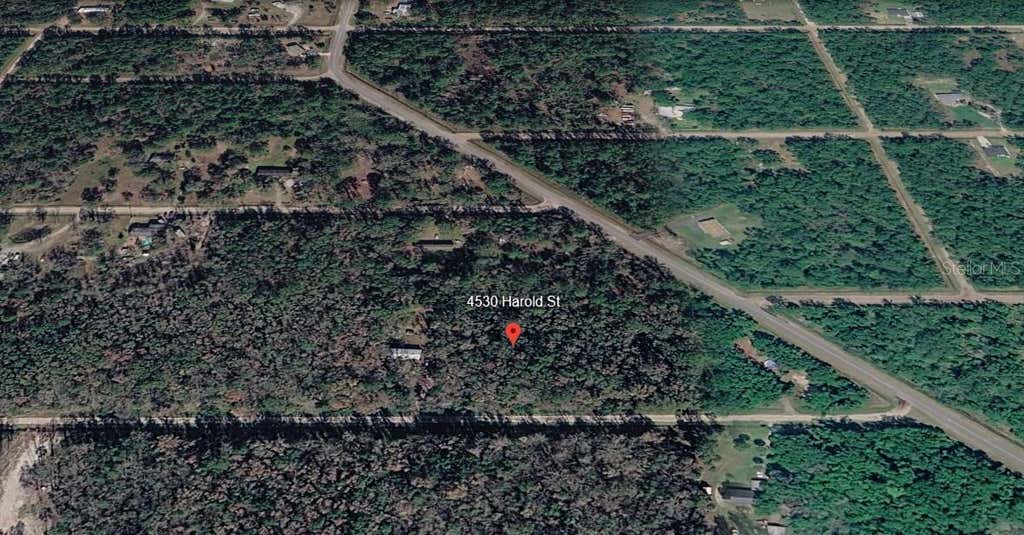 Photo of 4530 Harold Street, Hastings, FL 32145 (MLS # FC319001)