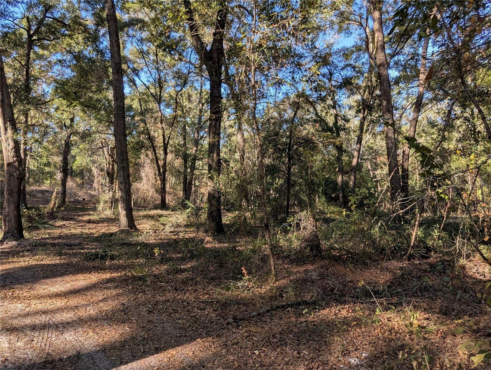 WEIRSDALE SUB - Residential