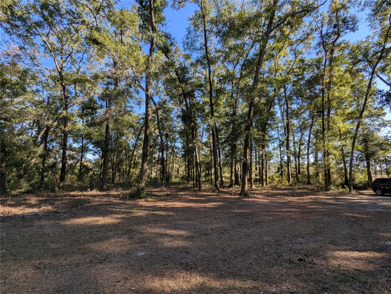 WEIRSDALE SUB - Residential