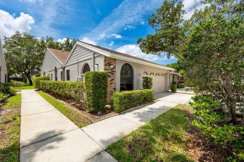5524 SALEM SQUARE DRIVE N PALM HARBOR FL 34685