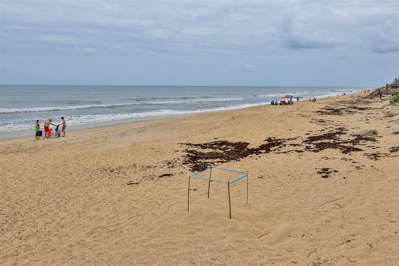 Chadham By Sea Condo - Residential