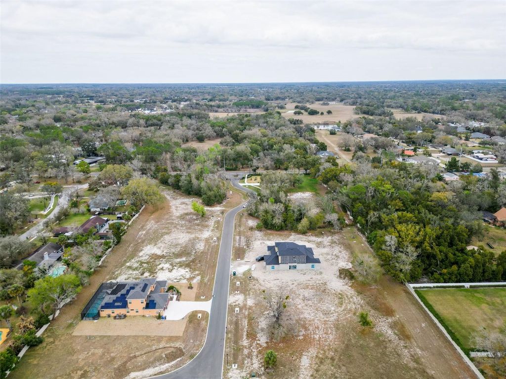 Photo of 18442 Purple Creek Lane, Lutz, FL 33549 (MLS # TB8482482)