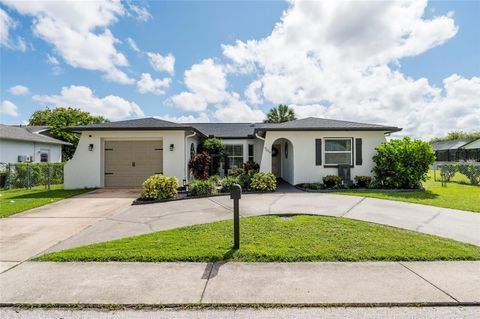 A home in PORT RICHEY