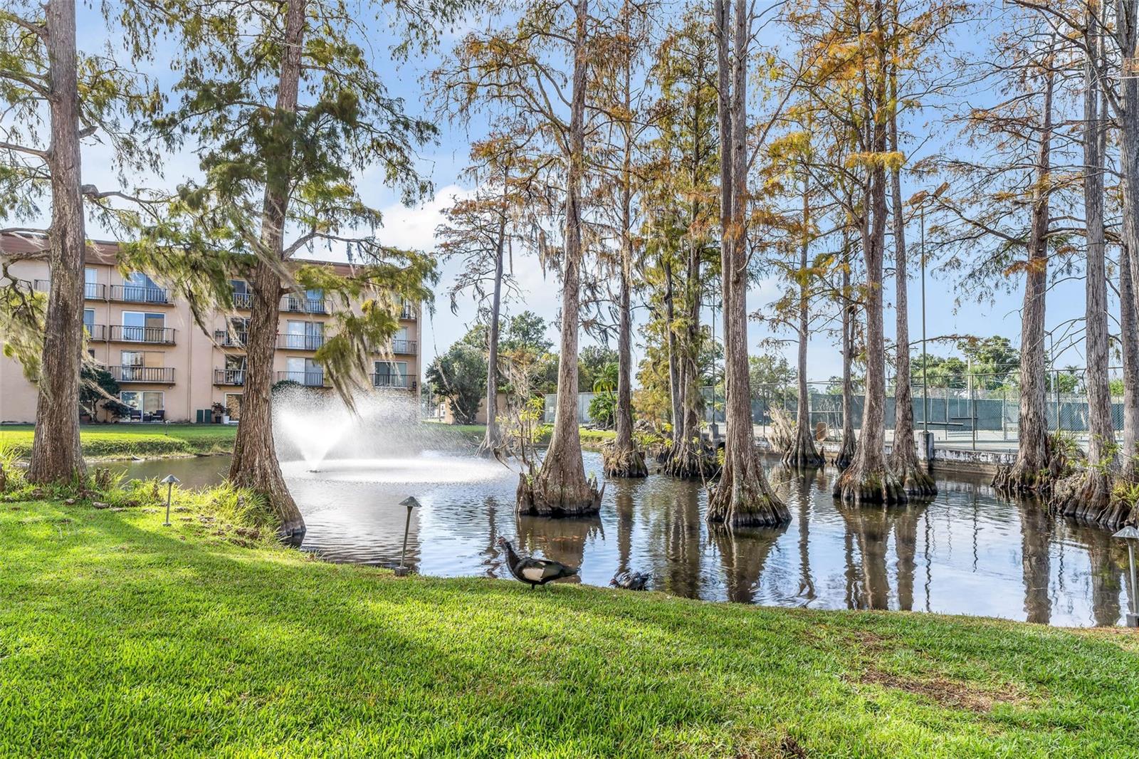 THE TAMPA RACQUET CLUB A CONDO - Residential