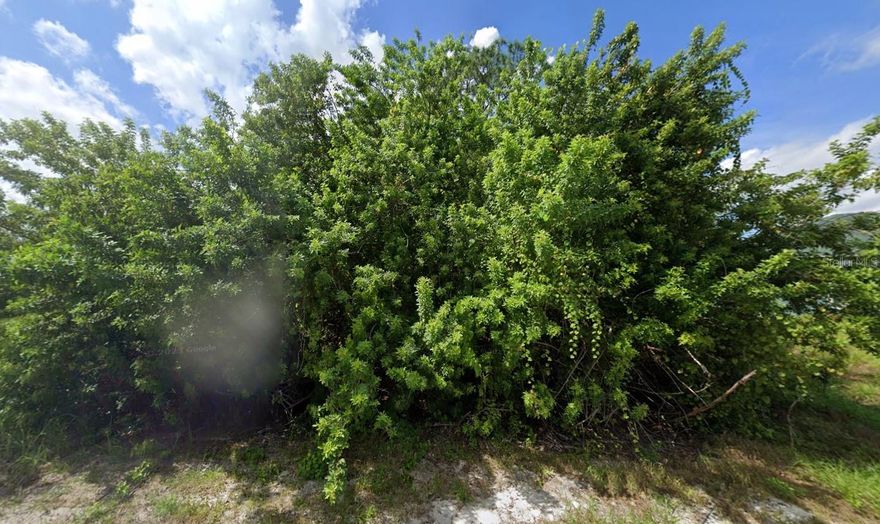 Build your dream home on this spacious 0.46-acre vacant lot. Nearly half an acre, this oversized parcel offers plenty of room for your custom home, pool or outdoor living space. Situated in a quiet residential area with convenient access to shopping, dining, schools, and major roadways. Enjoy the privacy and flexibility of owning a larger lot while still being close to everything Palm Bay has to offer. No HOA gives you added freedom to build on your timeline. Don’t miss this opportunity to secure a generous homesite in a growing area of Palm Bay!