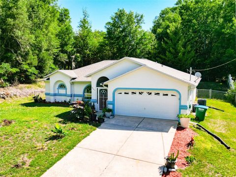 Tiny photo for 8461 N Titleist Drive, Citrus Springs, FL 34434 (MLS # S5150276)