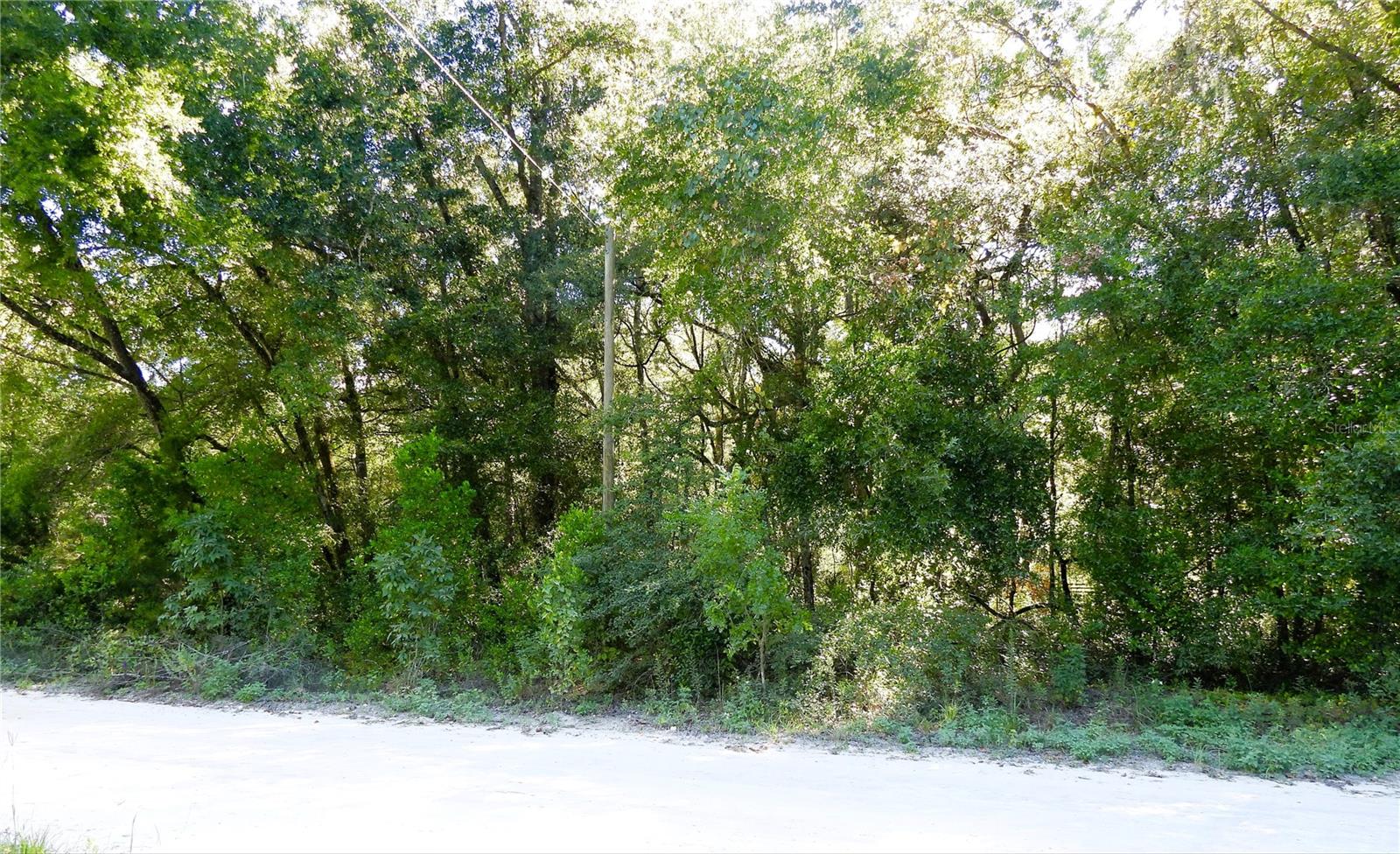 This undeveloped parcel in Rainbow Park offers a serene setting close to the Rainbow River and local parks. With SR-40 access just moments away and Ocala located to the east, it strikes the perfect balance between peaceful living and everyday convenience.