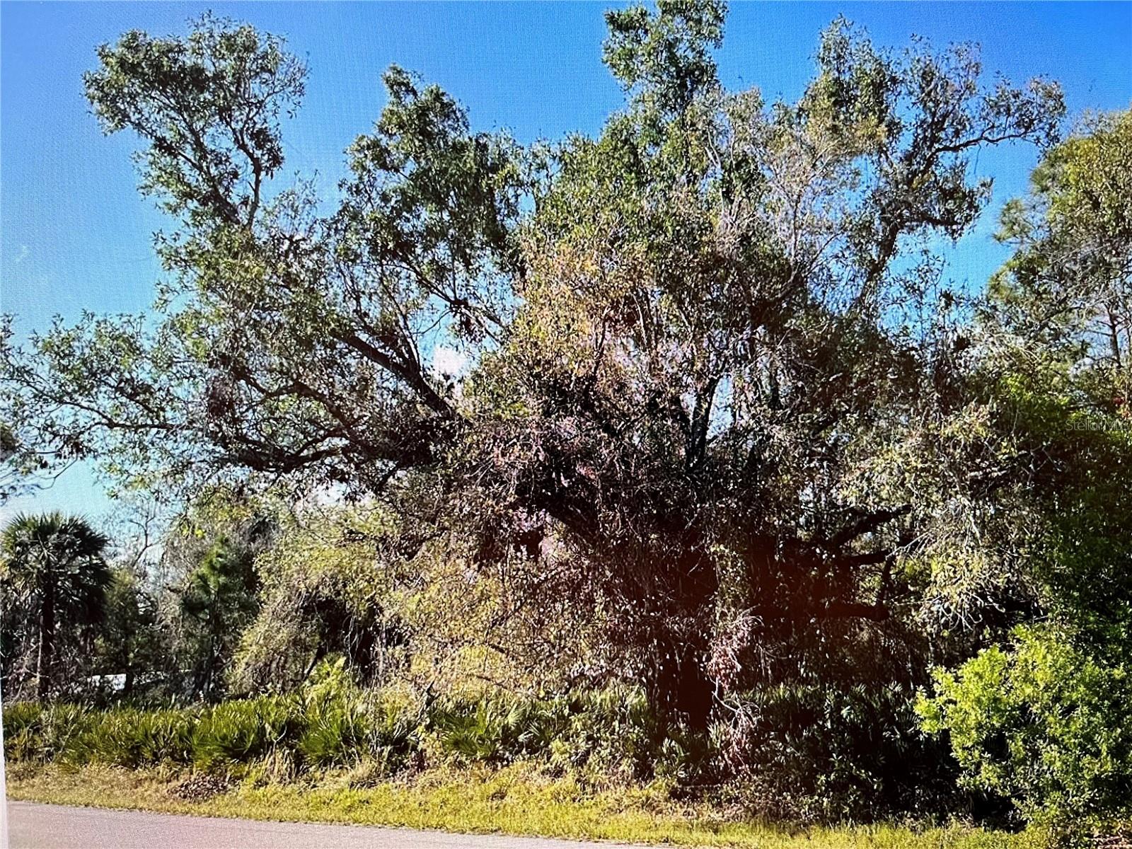 PORT CHARLOTTE SEC 013 - Land