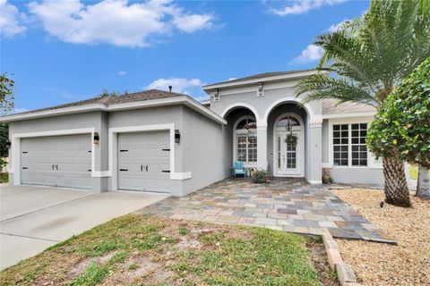 214 BON VIE PLACE VALRICO FL 33594