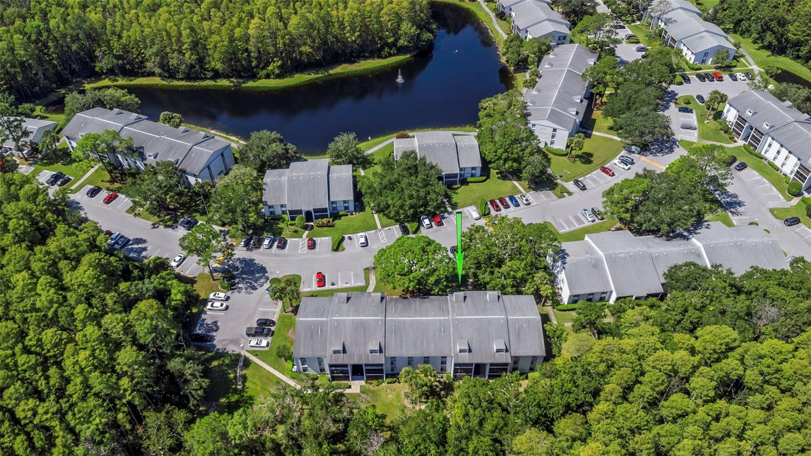 PINE RIDGE AT LAKE TARPON VILLAGE - Residential