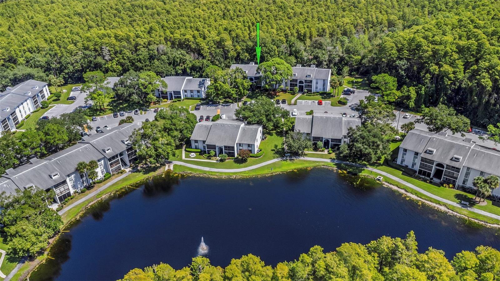 PINE RIDGE AT LAKE TARPON VILLAGE - Residential