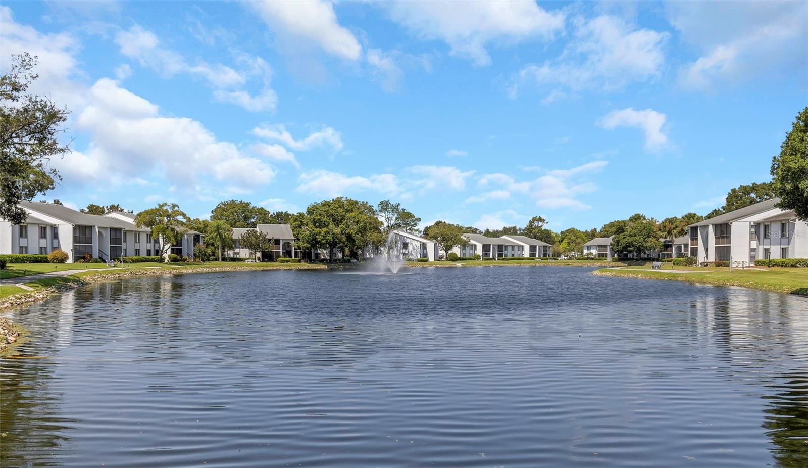 PINE RIDGE AT LAKE TARPON VILLAGE - Residential