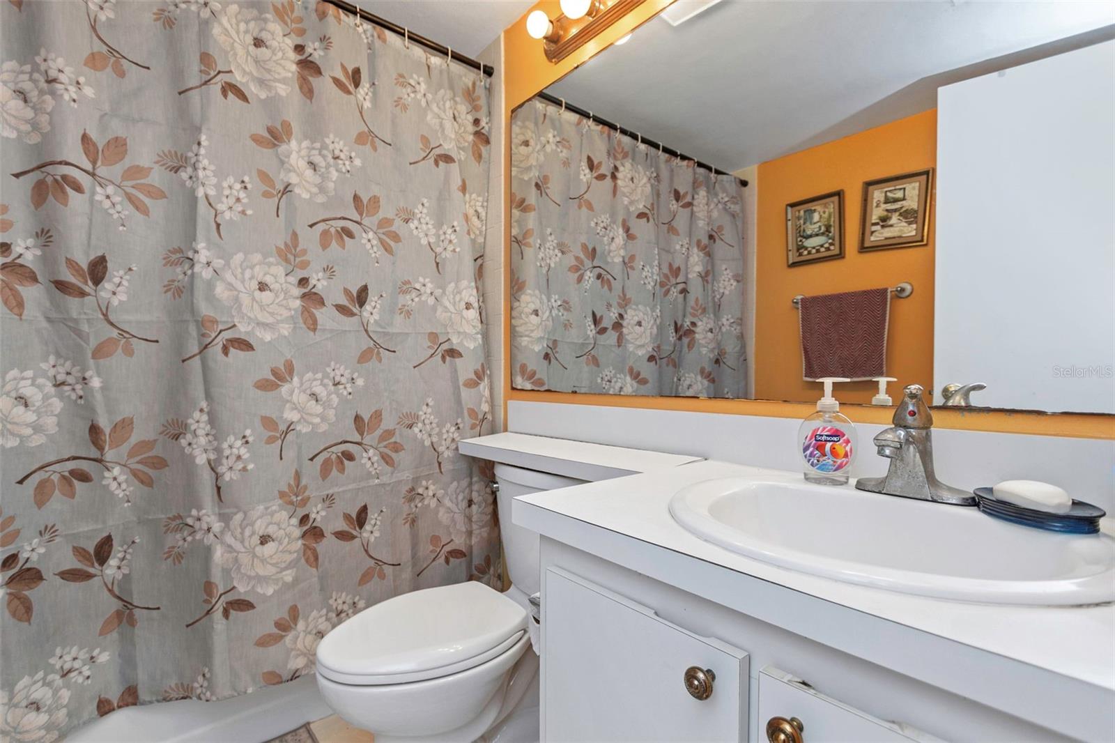 PINE RIDGE AT LAKE TARPON VILLAGE - Residential