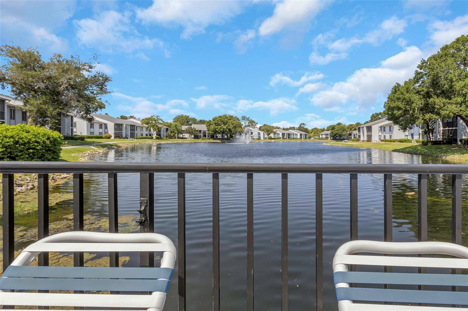 PINE RIDGE AT LAKE TARPON VILLAGE - Residential