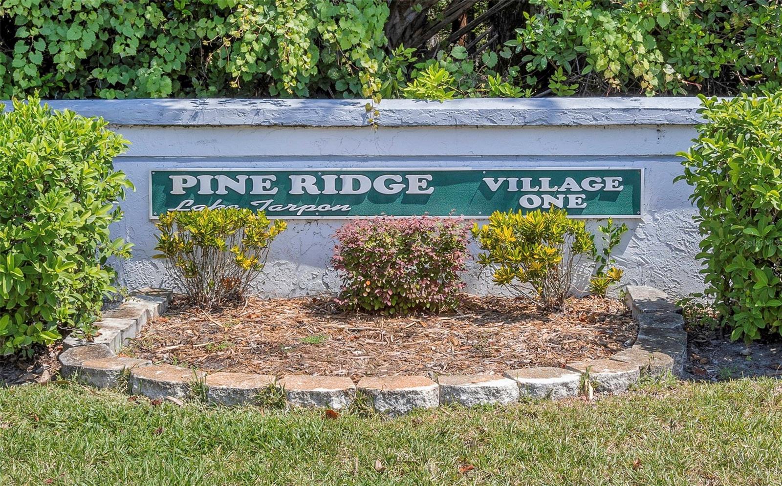 PINE RIDGE AT LAKE TARPON VILLAGE - Residential