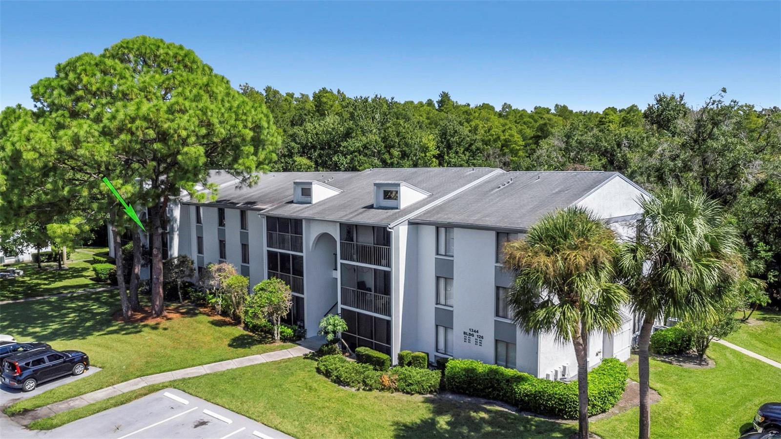 PINE RIDGE AT LAKE TARPON VILLAGE - Residential