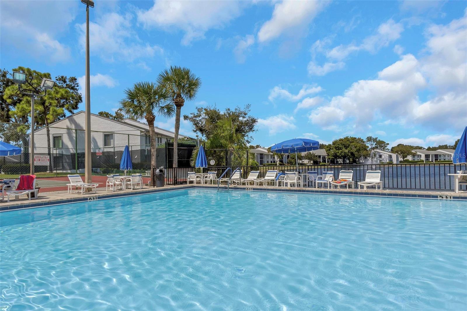 PINE RIDGE AT LAKE TARPON VILLAGE - Residential