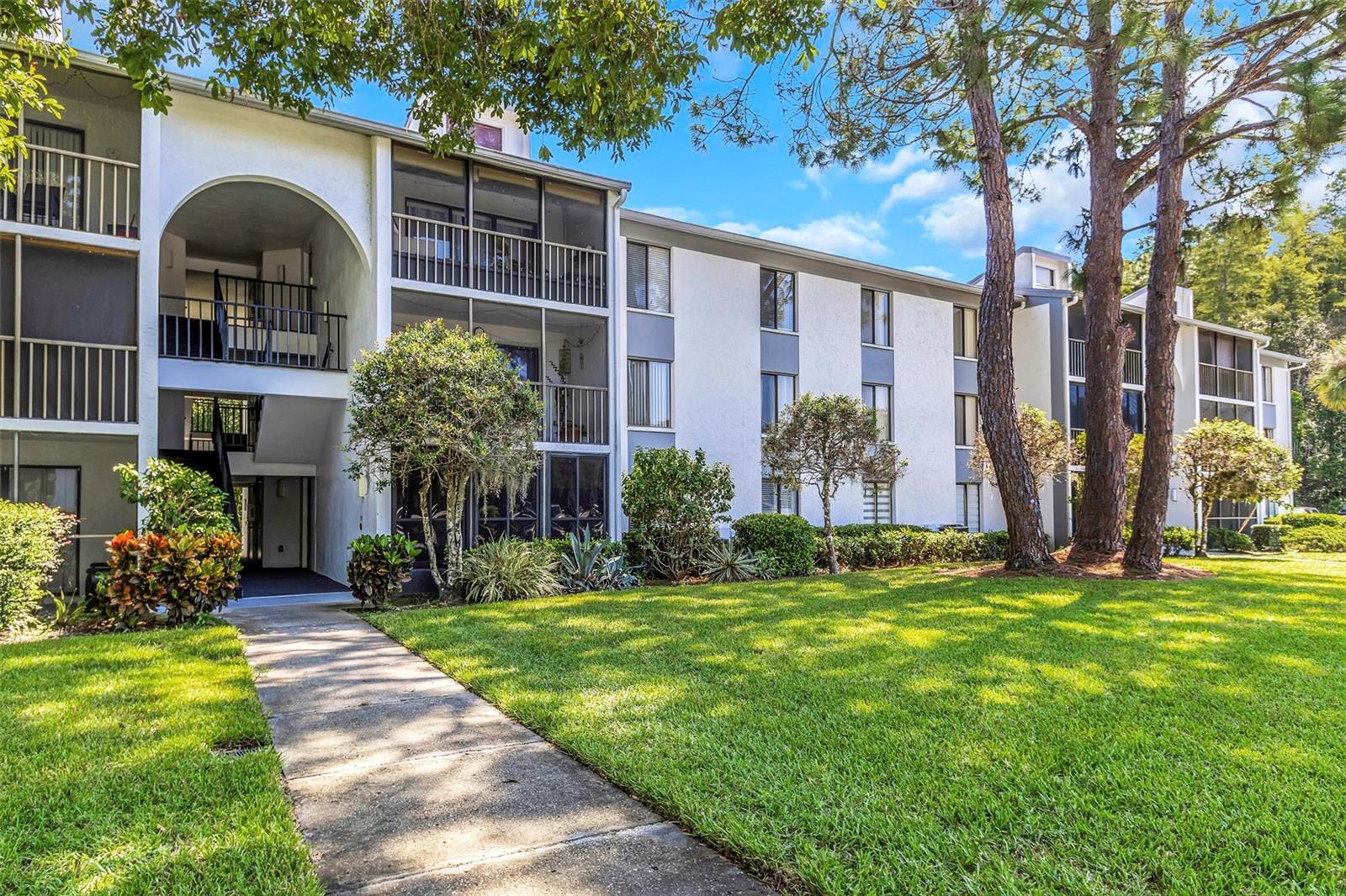 PINE RIDGE AT LAKE TARPON VILLAGE - Residential