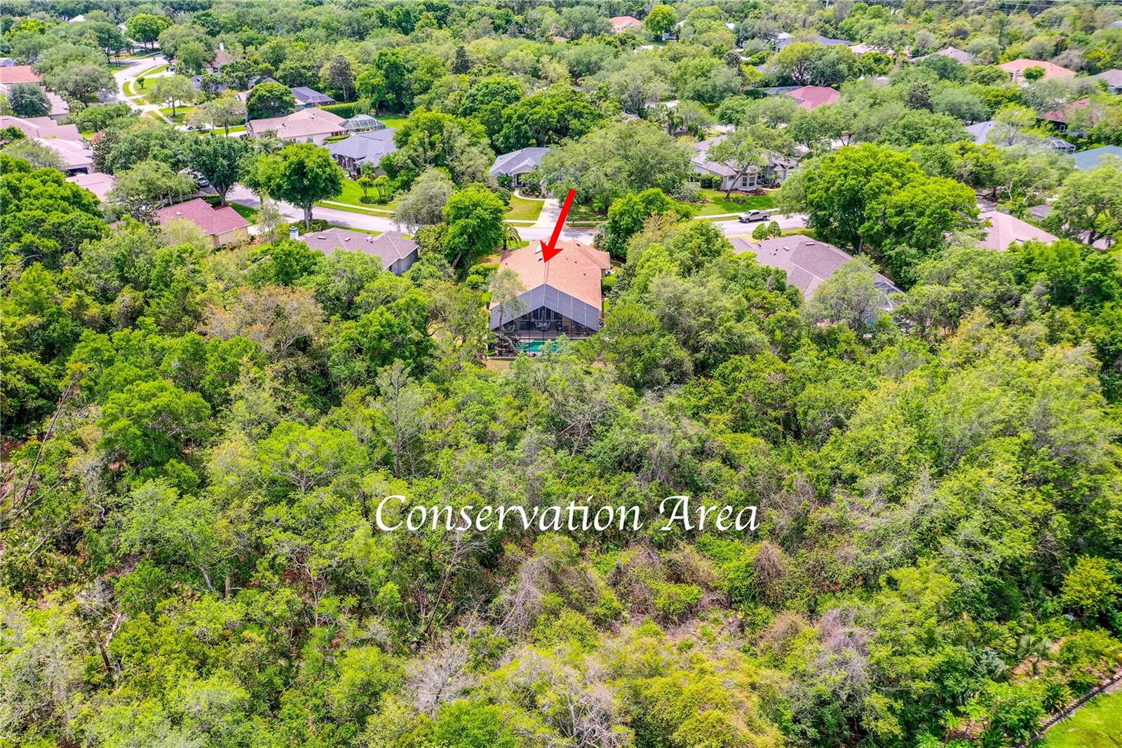 HALIFAX PLANTATION UNIT 02 SEC B LT 01 REP - Residential