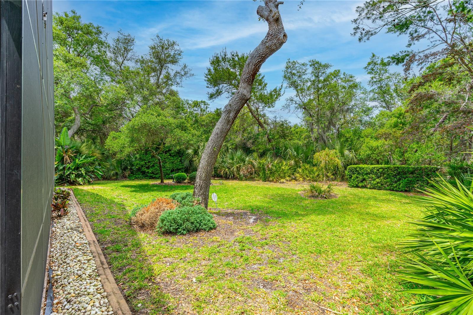 HALIFAX PLANTATION UNIT 02 SEC B LT 01 REP - Residential