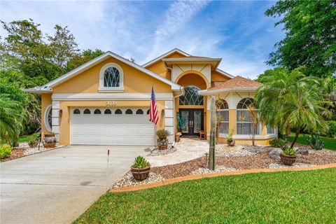3639 MALLOW DRIVE ORMOND BEACH FL 32174