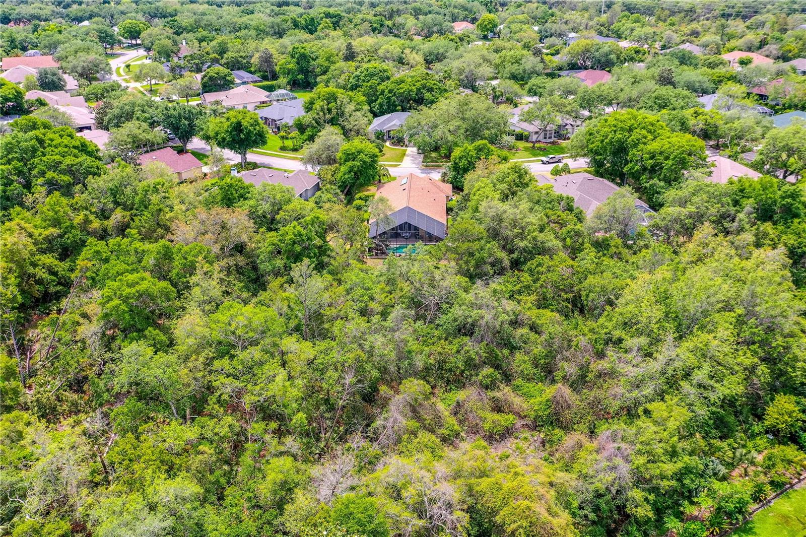 HALIFAX PLANTATION UNIT 02 SEC B LT 01 REP - Residential