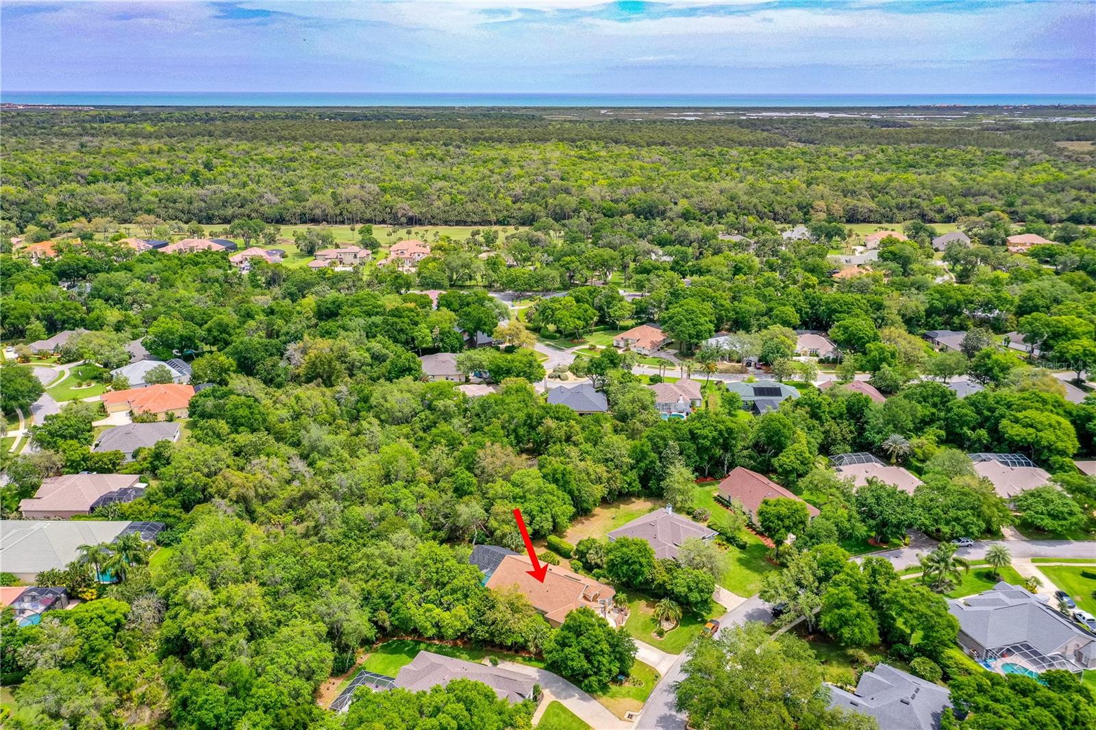 HALIFAX PLANTATION UNIT 02 SEC B LT 01 REP - Residential